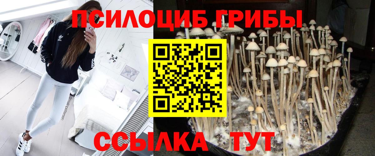 Псилоцибиновые грибы мухоморы  Вход с VPN  Дзержинский 